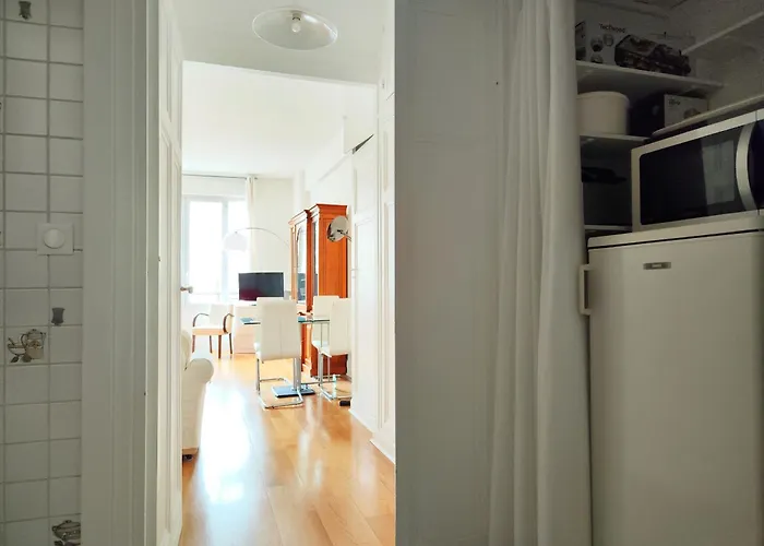 8 Elegant On Prestigious Franklin Roosevelt Avenue Paris